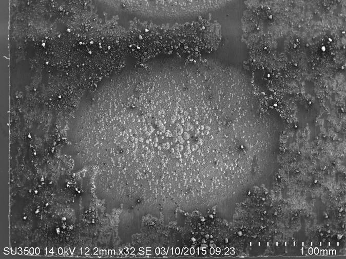 SEM of magnesium surface irradiated with nanosecond laser pulses resulting in increased absorption in the visible spectrum and hydrophobicity.