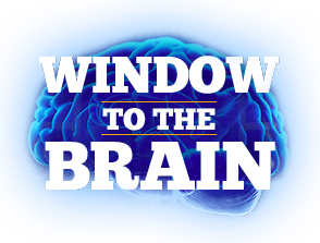 Window to the Brain Logo