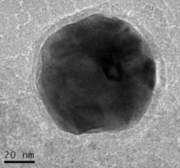 TEM micrograph of yttria-stabilized zirconia nanoparticles, which are densified to create the Window to the Brain implant. 