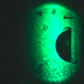 Shadowgraph image showing cavitation bubble at its maximum diameter of 2mm.